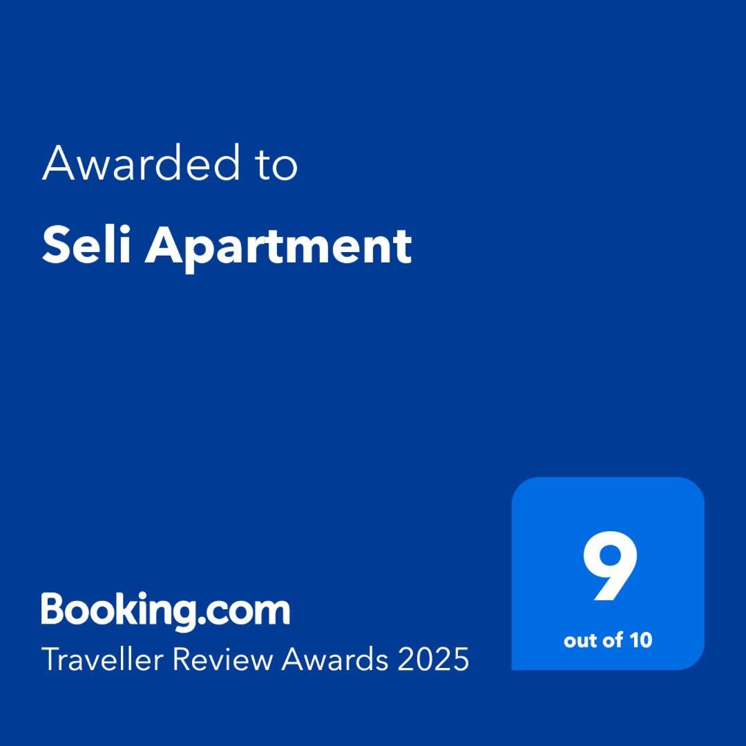 Seli Apartment *